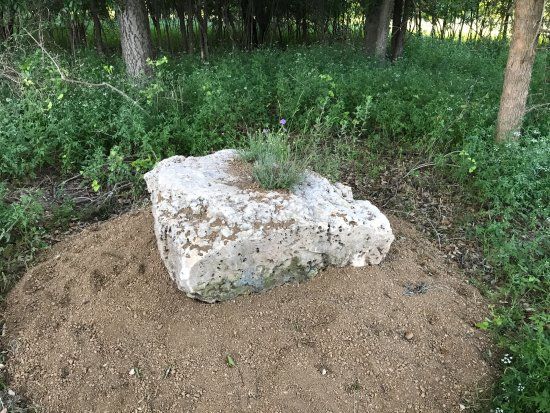 Cooper Spring Nature Park